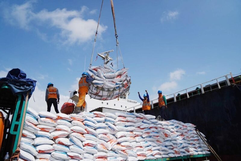 Perkuat Ketahanan Pangan Nasional, Pelindo Multi Terminal Group pastikan kelancaran bongkar komoditas beras. Pelabuhan Tanjung Priok, Jamrud Nilam Mirah, dan Tanjung Emas Jadi Tiga Terminal Terbesar Bongkar Komoditas Beras BULOG.