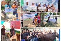PT Energi Pelabuhan Indonesia salurkan hewan kurban di wilayah operasional sebagai bagian dari komitmen Tanggung Jawab Sosial dan Lingkungan (TJSL) Perusahaan.