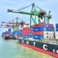 Kinerja tiga terminal, yakni TPK Teluk Lamong, TPK Nilam, dan TPK Berlian, terus meningkat seiring bertambahnya layanan pelayaran internasional dan menguatnya distribusi domestik